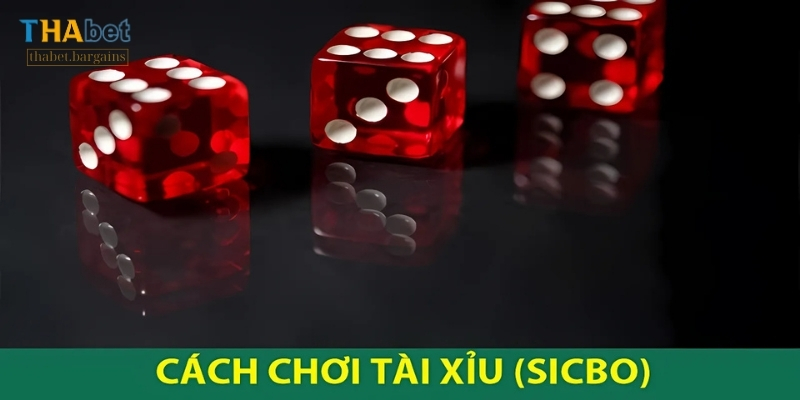 Tài xỉu cho phép người chơi lựa chọn nhiều cửa cược khác nhau